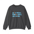 Lake Ontario Crewneck Sweatshirt