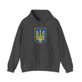 Ukraine Tryzub Hoodie