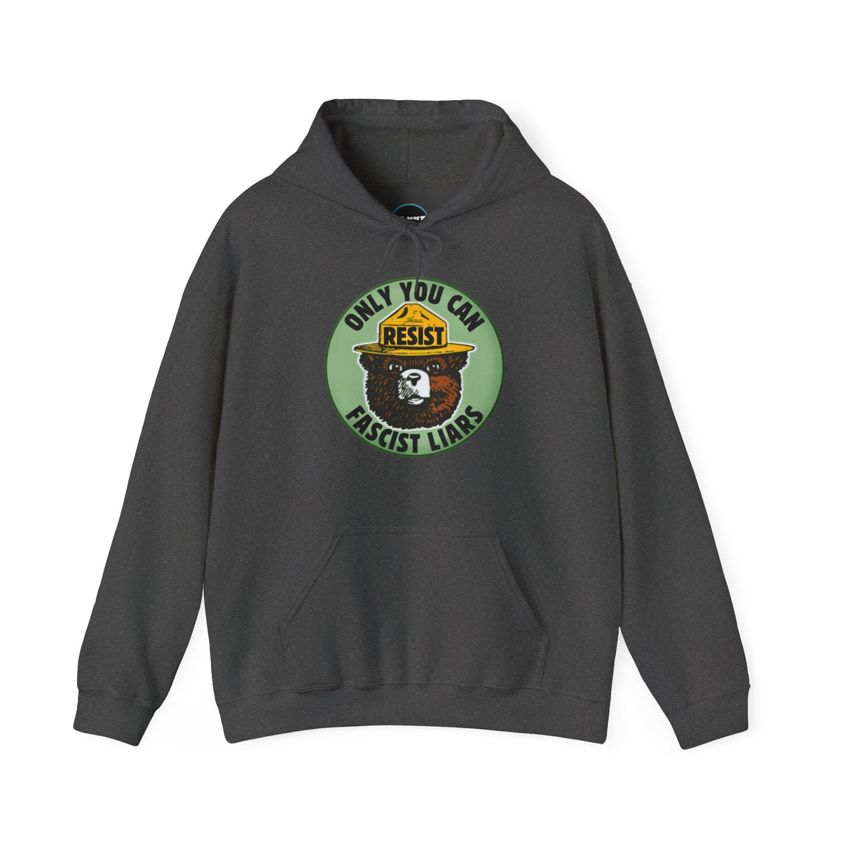 Fascist Liars Hoodie