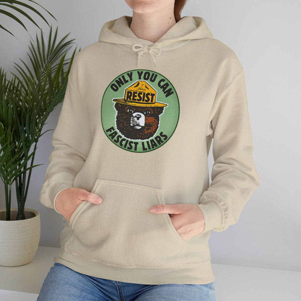 Fascist Liars Hoodie